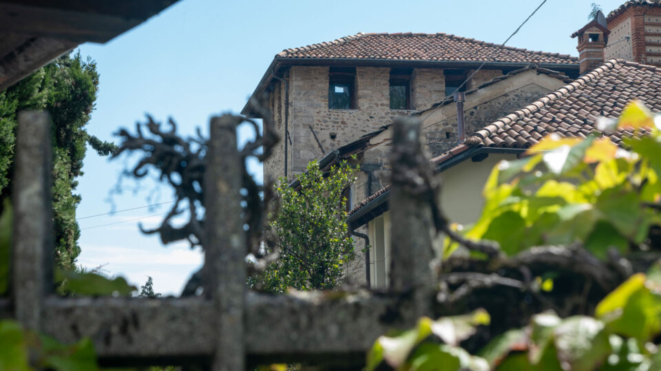 CASTELLO-abezi-davanti